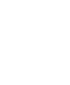 leptir shema